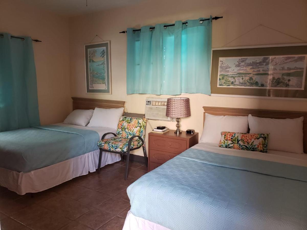 Midtown Guest House Σαρλότ Αμαλί Εξωτερικό φωτογραφία